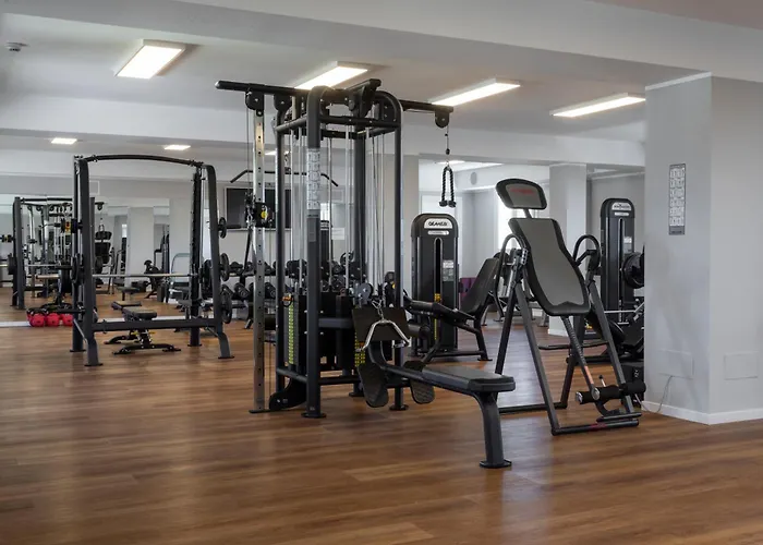 艾特德斯帕尔梅斯大酒店 酒店